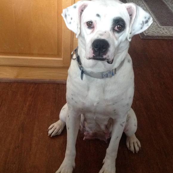 Meet your Posher, Joan - Picture 1 of 1